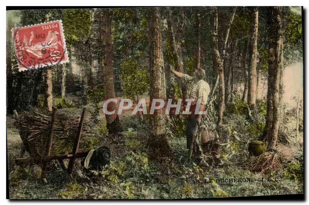 O lenhador — Floresta — Editor J.L.C. - Frente