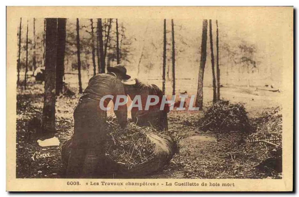 Die Sammlung von totem Holz — Landwirtschaftliche Arbeiten — Serie 6008 — Foto Léon Margen (Pay) - Vorderseite