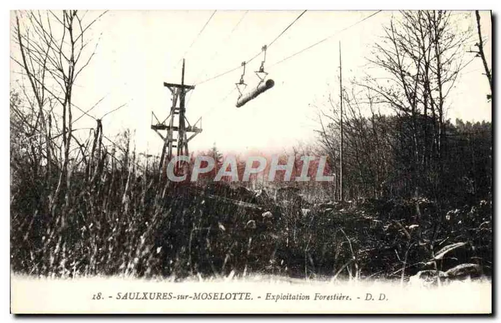 Saulxures-sur-Moselotte — Exploração Florestal — D. D. - Frente