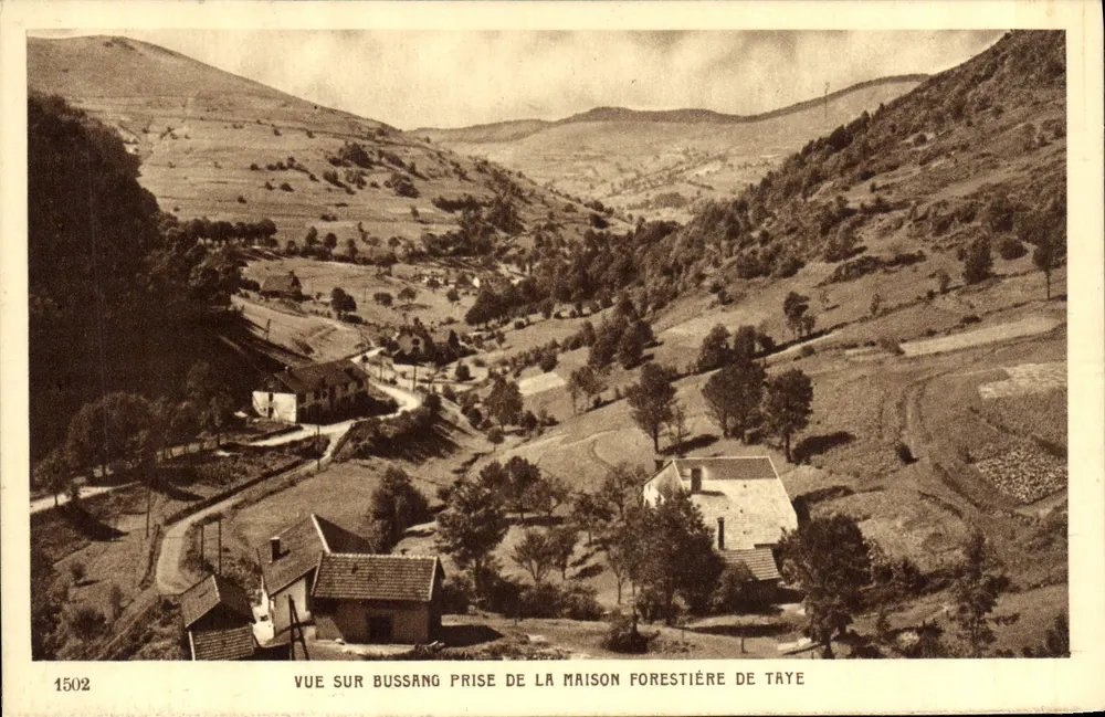 Ansicht von Bussang von der Forsthaus Taye aus — Nr. 1502 — Verlag Braun & Cie, Dernach (Ht-Rhin) - Vorderseite