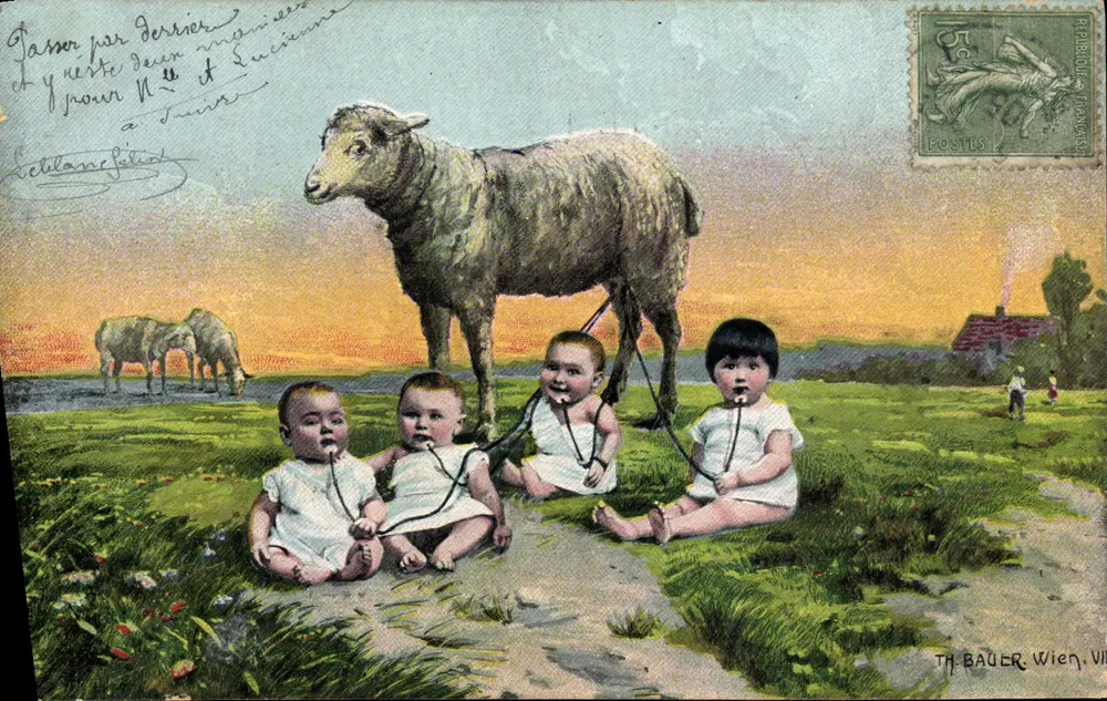 Vier Babys mit einer Schaf — TH BAUER, Wien — Stempel 1893 - Vorderseite