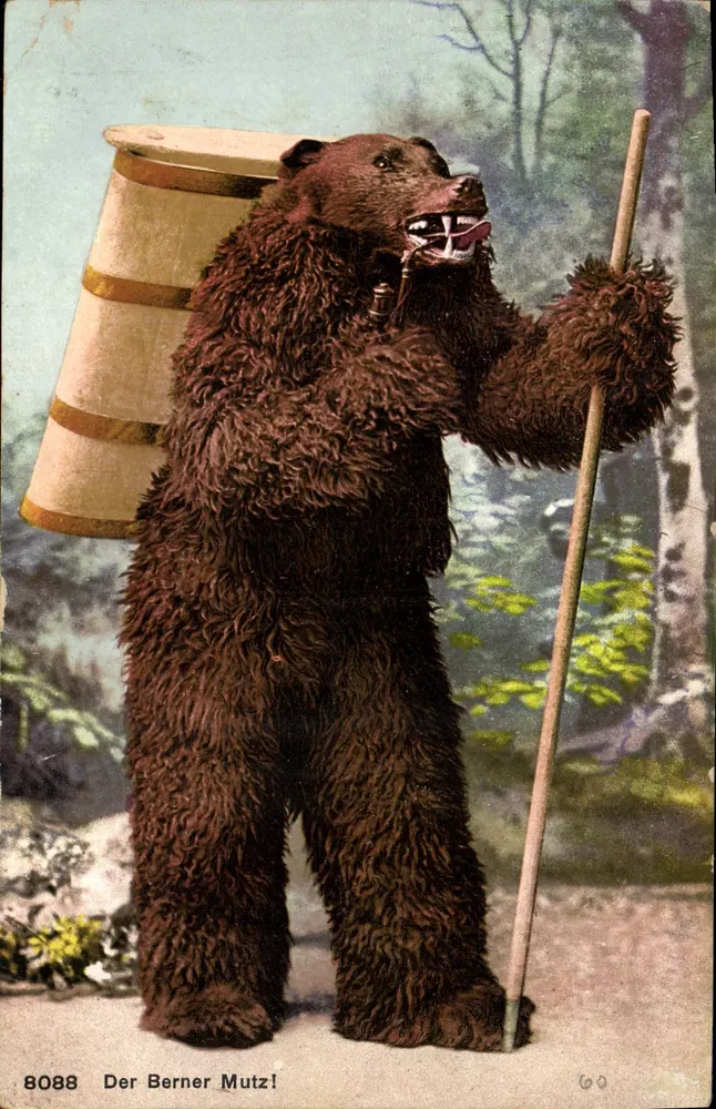 Le Berner Mutz — urso em traje — editor anônimo, n° 8088 - Frente
