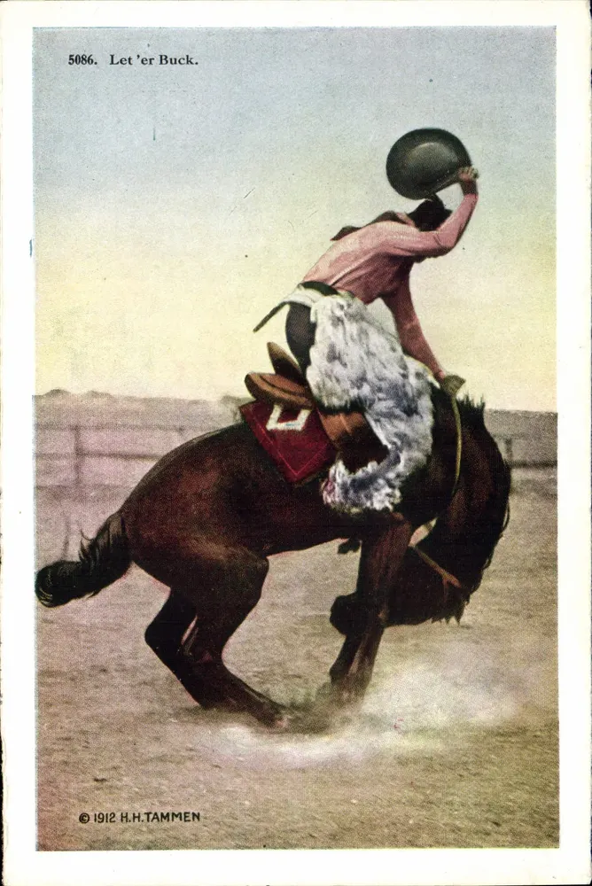 Corrida de cowboys com broncos selvagens — H.H. TAMMEN, n° 8810 - Frente