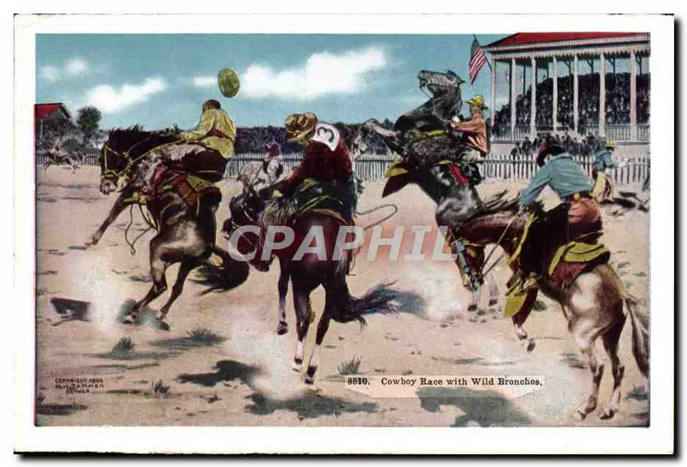 Corrida de cowboys com broncos selvagens — H.H. TAMMEN, n° 8810 - Verso