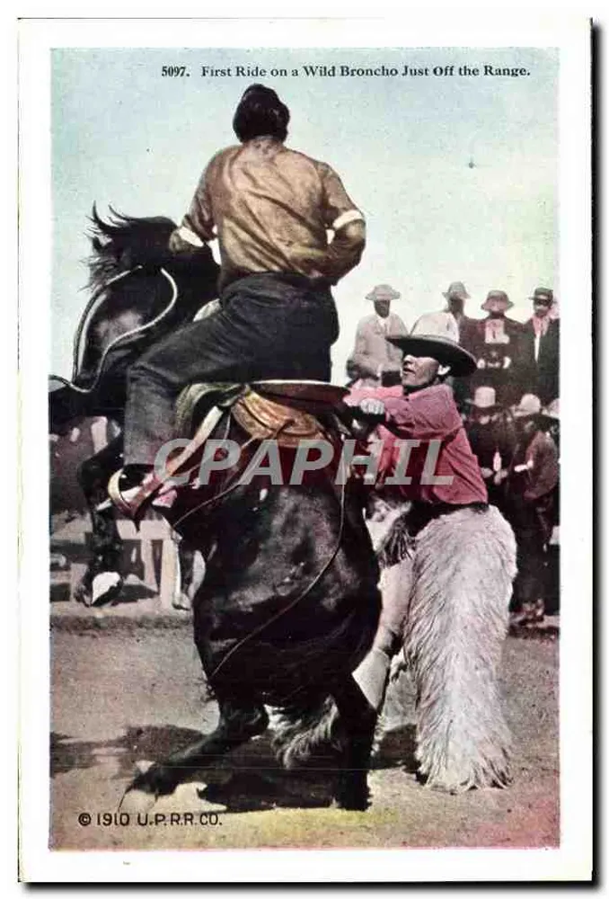Broncho Buster Grabbing Leather — 8671 — H.H.T. - Verso