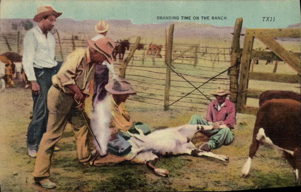 Branding Time on the Ranch — TX11 — A. Colourfulite Publication - Vorderseite