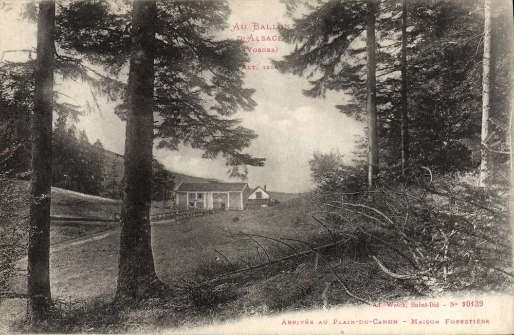 Ankunft am Plain-du-Canon — Forsthaus — Am Ballon d'Alsace (Vosges) — Ad Weick, Saint-Dié — N° 10439 - Vorderseite