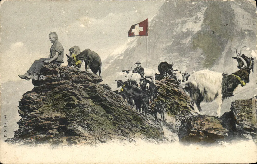 Alpine suíça — pastores e cabras — G. P. N. Déposé - Frente