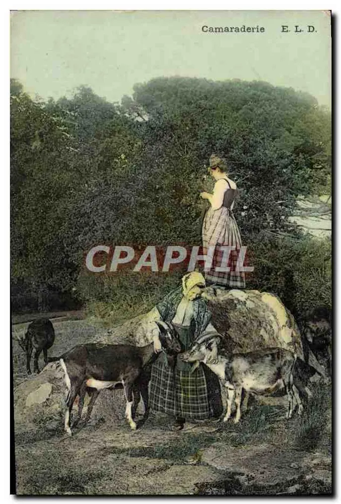 Camaraderia — cena de vida rural com duas mulheres e cabras — E. L. D. - Frente