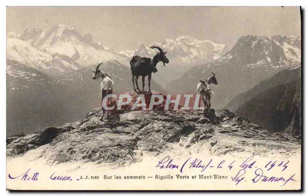 Auf den Gipfeln — Aiguille Verte und Mont-Blanc — J.J. 3162 — Jallien Frères, Gaube - Vorderseite