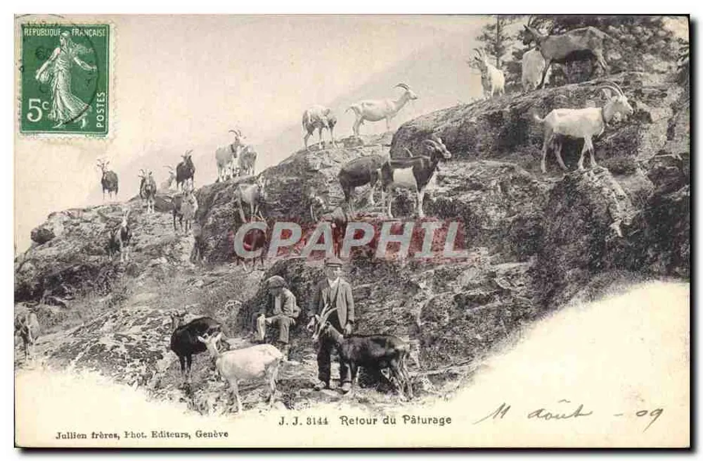 Retorno do Pâturage — J.J. 3144 — Jullien frères, Phot. Editeurs, Genève - Frente