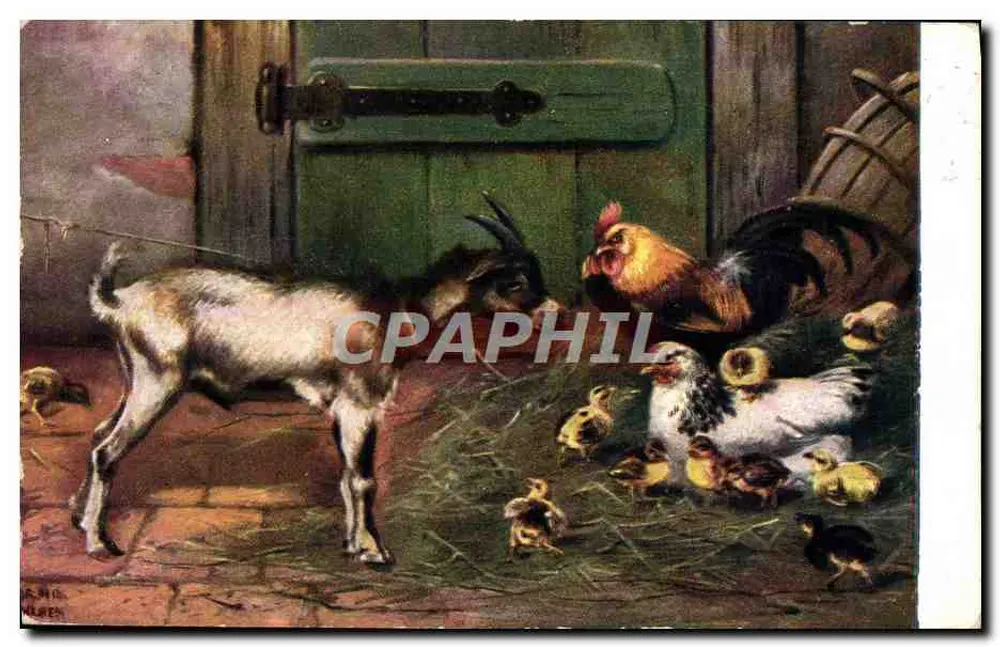 Cabra e galinhas — cena de fazenda — desenho de R. M. N. Nüren - Frente
