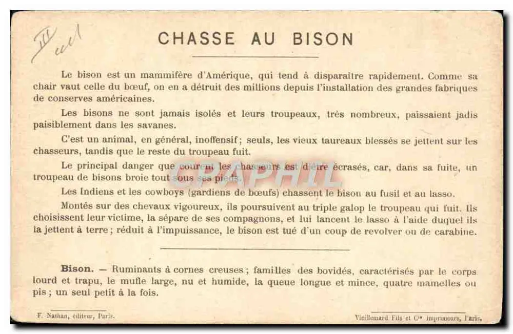 Jagd auf den Bison — (Südamerika) — F. Nathan, Verlag, Paris - Rückseite