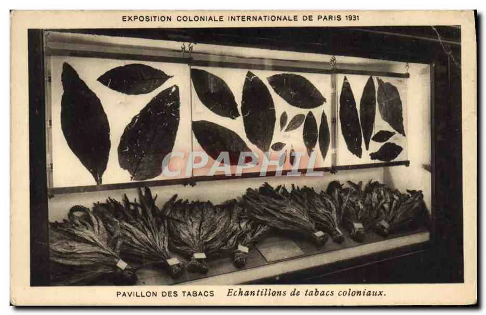 Internationale Kolonialausstellung Paris 1931 — Pavillon der Tabakwaren — Proben kolonialer Tabakwaren. Verleger: HÉLIO-CACHAN. - Vorderseite