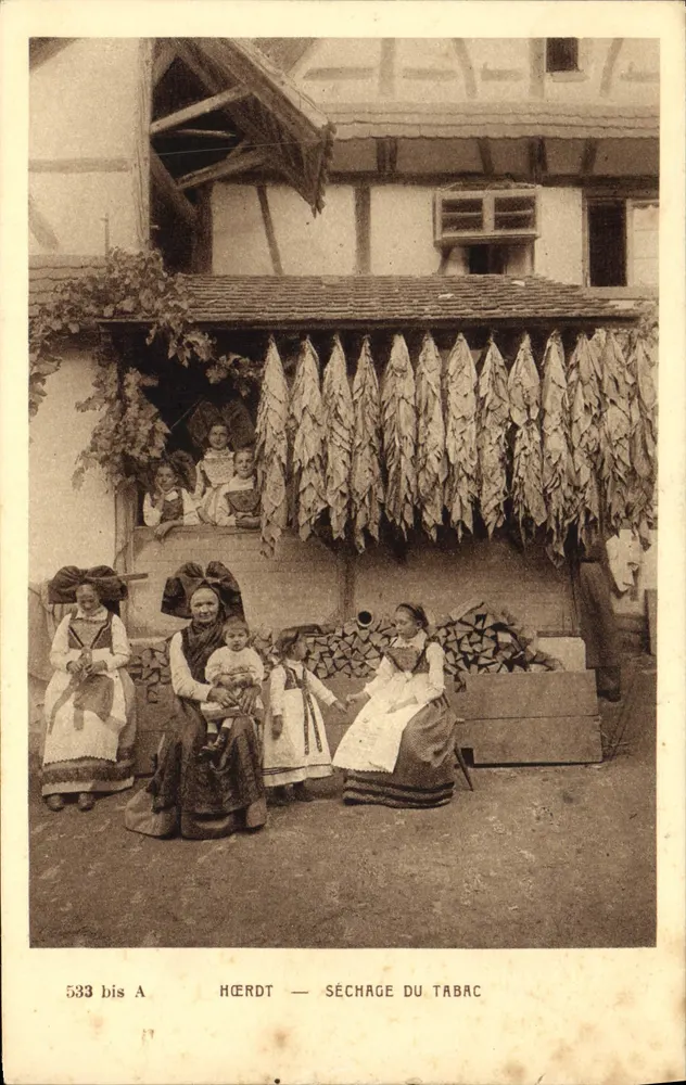 Hœrdt — Secagem do tabaco — Imp. Edit. BRAUN & Cie, Dambach (Ht-Rhin) - Frente