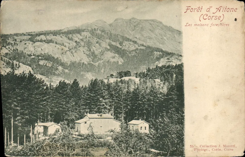 Wald von Aitone (Korsika) — Die Forsthäuser — Sammlung J. Moretti, Fotografie, Corte, Korsika, n°55 - Vorderseite