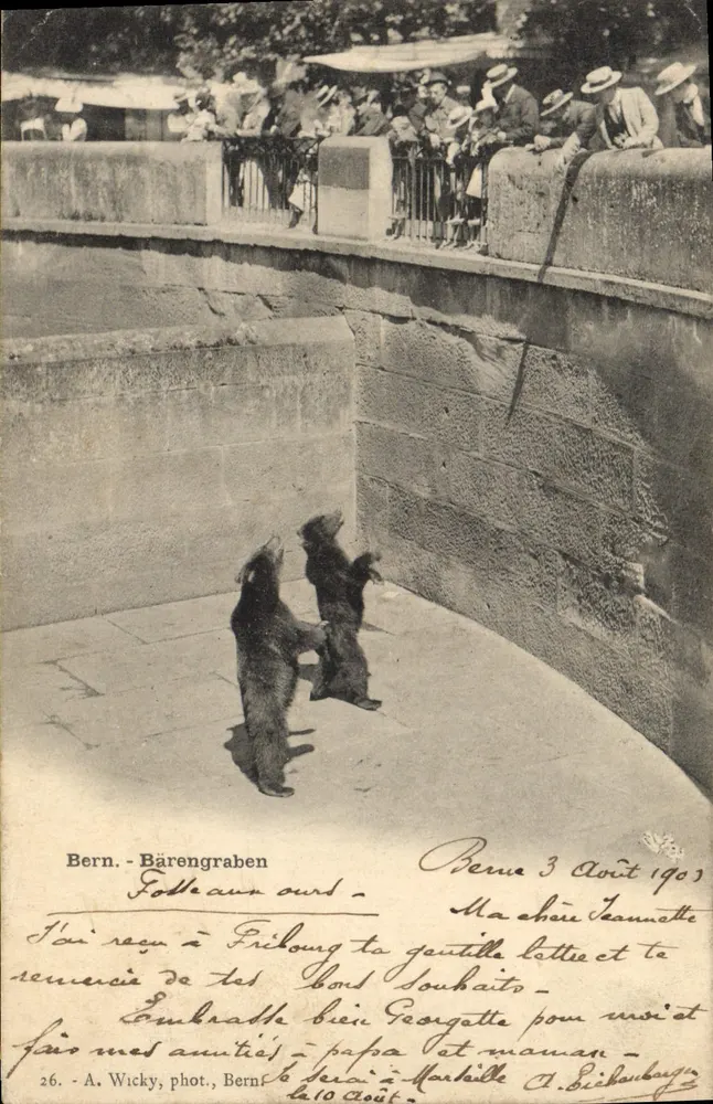 Bern - Bärengraben — Bären im Gehege — A. Wicky, Foto., Bern, Nr. 26 - Vorderseite