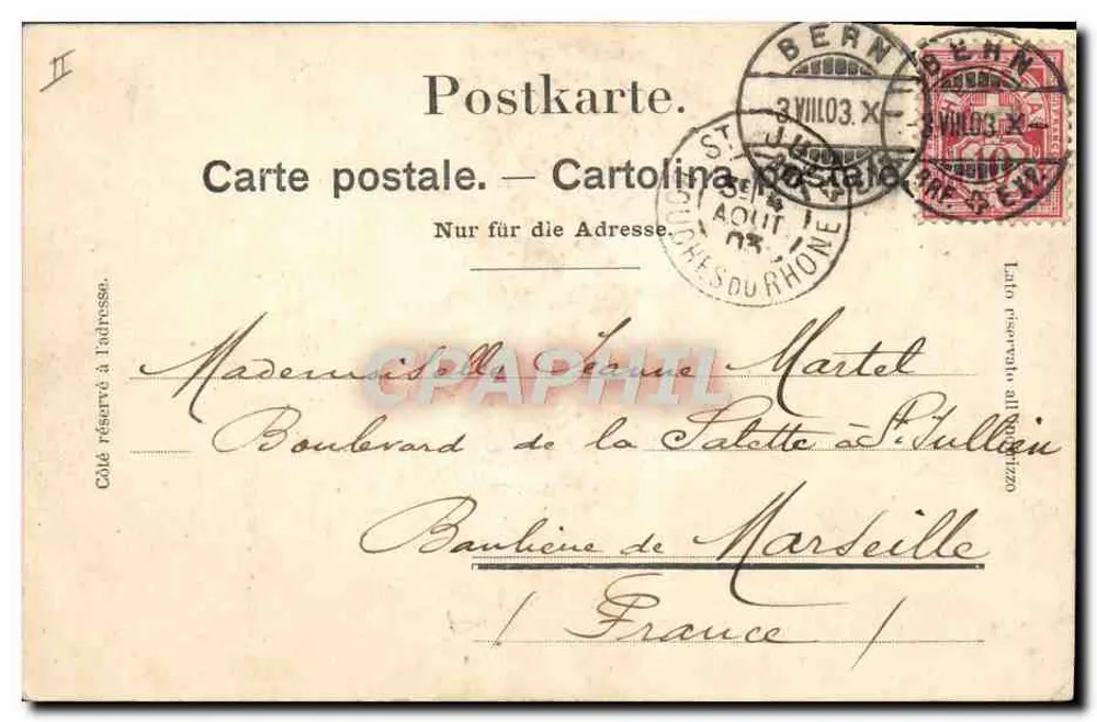 Bern - Bärengraben — Bären im Gehege — A. Wicky, Foto., Bern, Nr. 26 - Rückseite