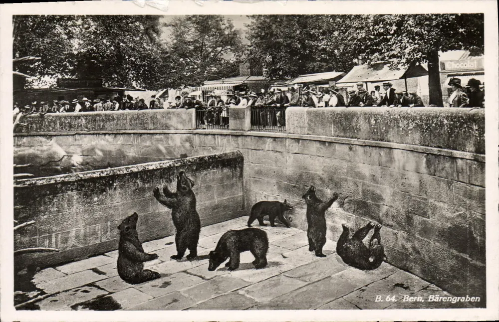 Bern, Bärengraben — cena de ursos e espectadores — editor Franco-Suíço, n° B. 64 - Frente