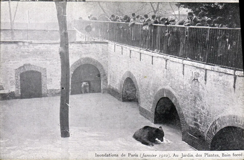 Überschwemmungen in Paris (Januar 1910). Am Jardin des Plantes, gezwungener Badestrand — unbekannte Ausgabe - Vorderseite