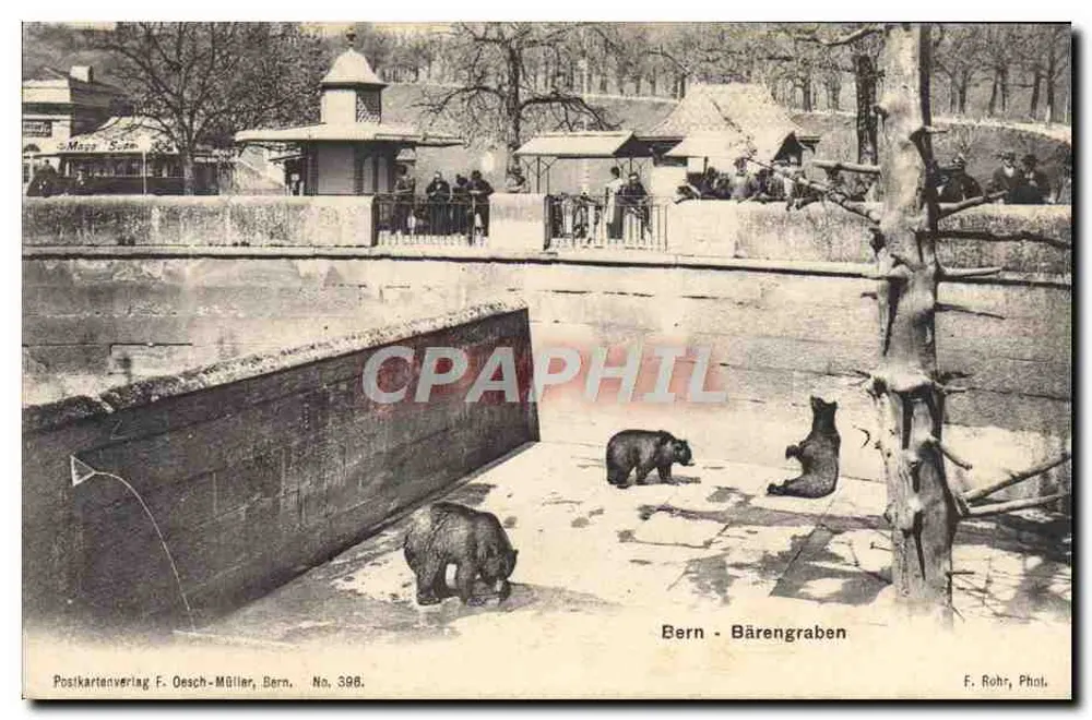 Bern - Bärengraben — Zoológico de Bern — editor F. Oesach-Müller, n° 398 - Frente