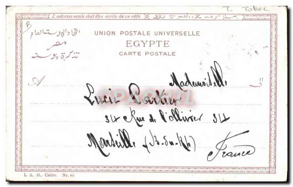 Jovem nativa fumando a pipa de água — Lembrança de Alexandria — L. & H., Cairo, N°49 - Verso