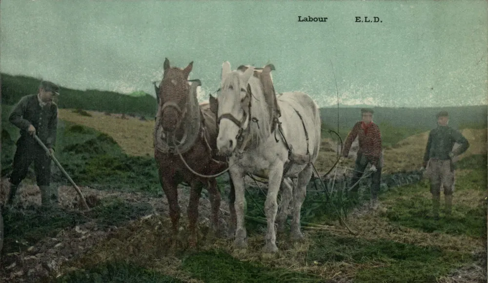 काम — E.L.D. — प्रकाशक E.L.D. - आगे