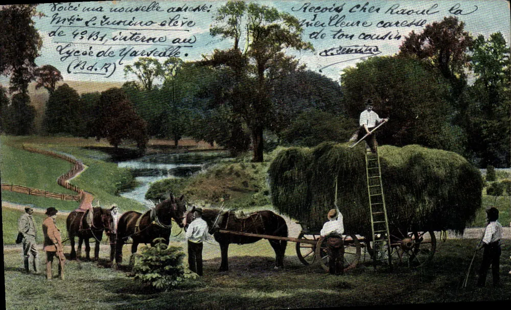 Cena de colheita — Paisagem com rio — Editor Th. E. L., série 581 - Frente