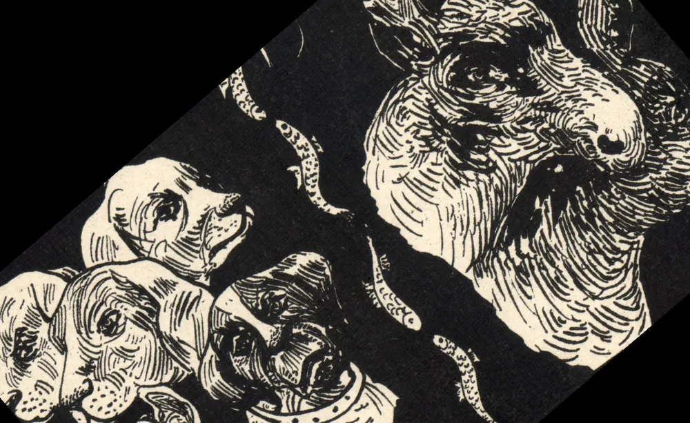 Hunde und Schlangen — schwarze und weiße Gravur — Verlag nicht sichtbar - Vorderseite