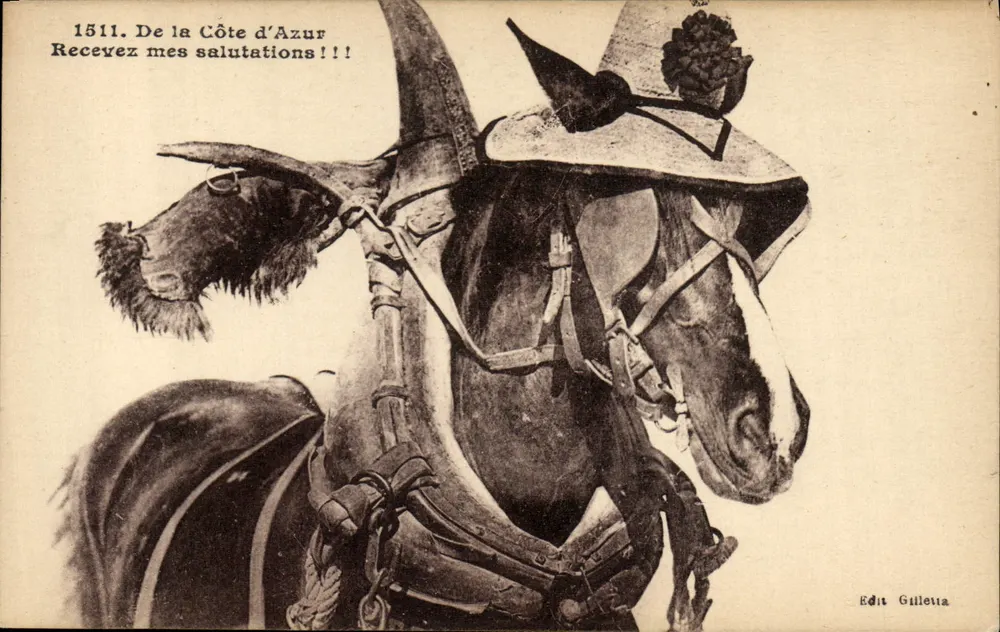 Cavalo em traje — Costa Azul — Edit Gilletta, n°1511 - Frente