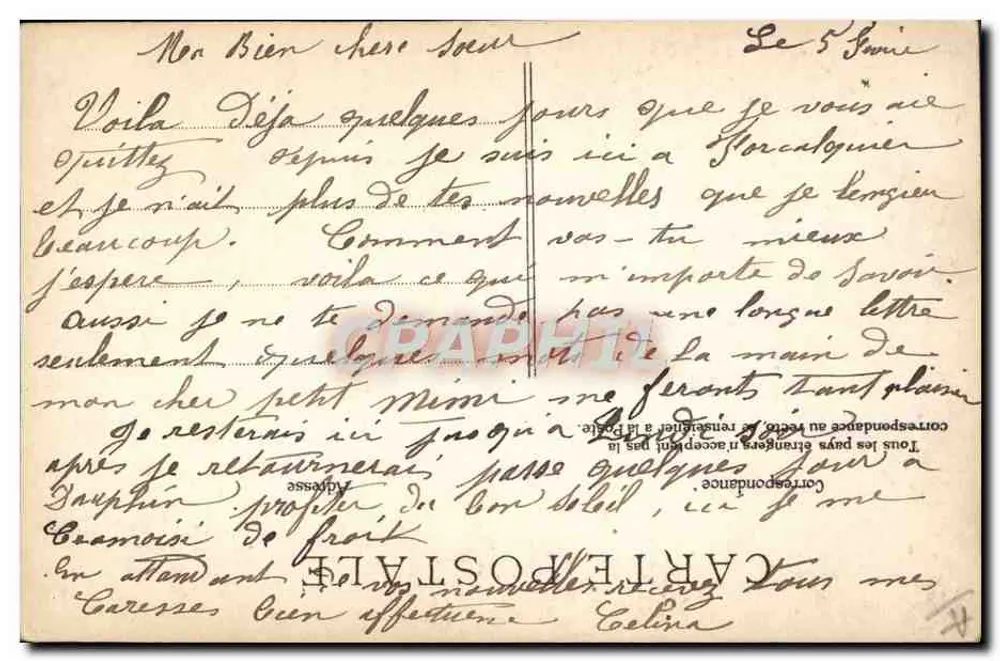 Ovelhas na Lagoa — Editor ELD, número de série não visível - Verso