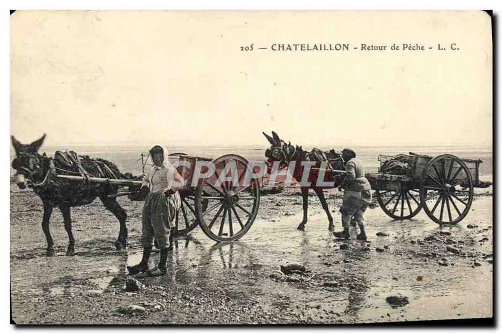 Châtelaillyon — Retorno da Pesca — L. C. — n° 205 - Frente