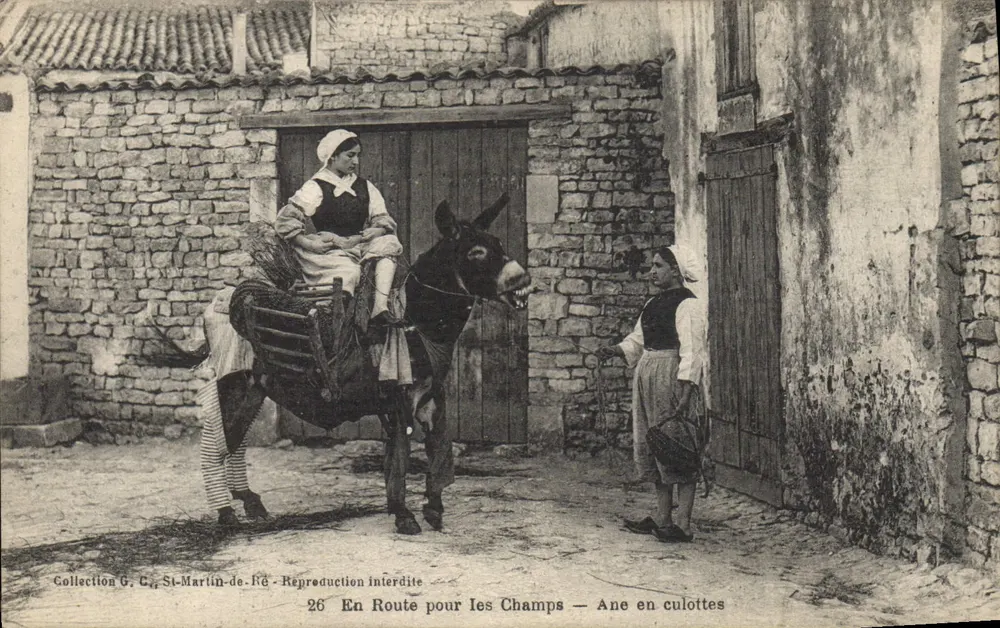 Auf dem Weg zu den Feldern — Esel in Hosen — Sammlung G. C. St-Martin-de-Ré - Vorderseite