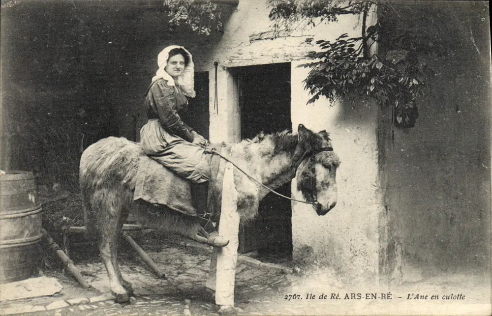Insel Ré - ARS-EN-RÉ - Der Esel in Pantoffeln - Vorderseite