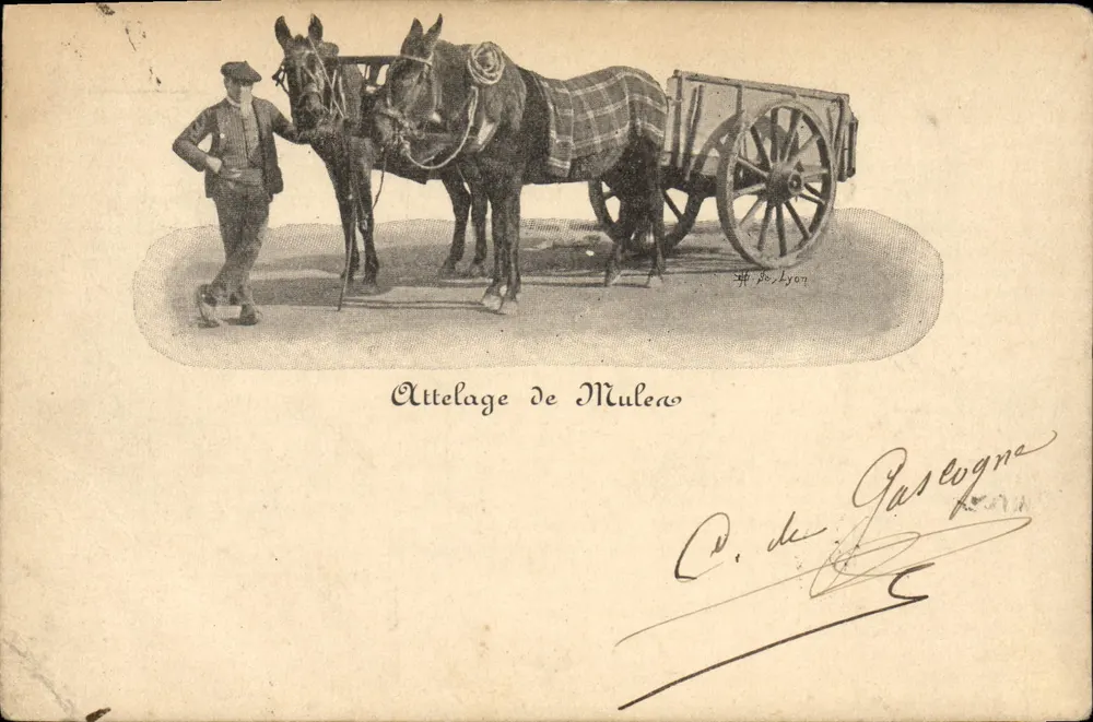 Attelage de Muleau — scène de transport rural — éditeur # De Lyon, n° de série #8 - Frente