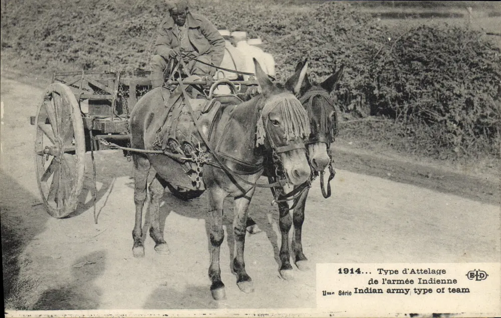 Atrelado indiano — 1914 — B.D. — 1ª Série - Frente