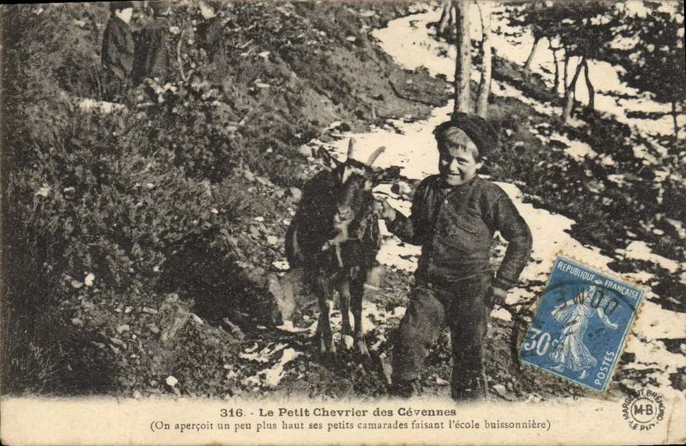 Der kleine Schäfer der Cévennes — Bergszenen mit einem Jungen und einem kleinen Ziegenbock — Verlag Margot & Brémond, Nr. 316 - Vorderseite