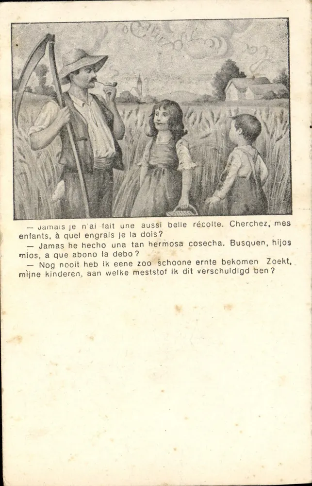 Fermier et enfants dans un champ de blé — scène illustrée avec texte multilingue (français, espagnol, néerlandais) — éditeur non visible - Frente