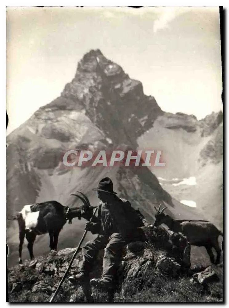 टिंज़ेनहॉर्न — एल्पीयन पर्वत — प्रकाशक मिस्टर रूडोल्फ, डैवोस-वॉल्फग़ांग, संख्या 652 - आगे