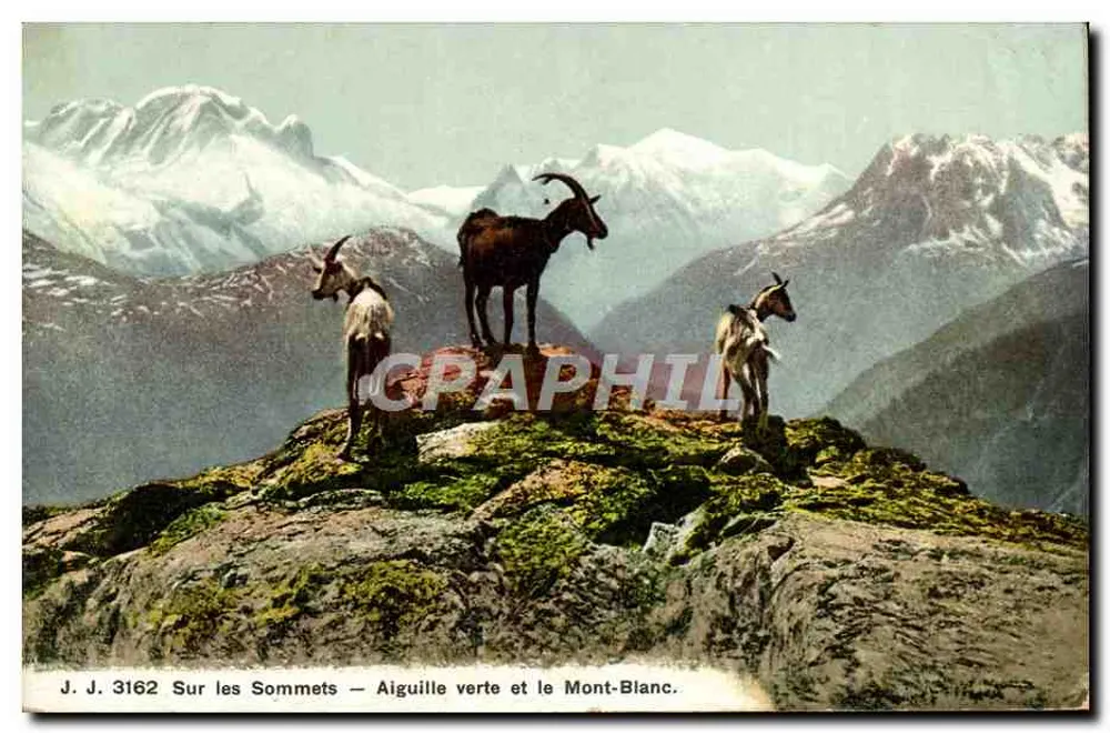Auf den Gipfeln — Aiguille Verte und Mont Blanc — Julillien frères, Genf, n° 3162 - Vorderseite