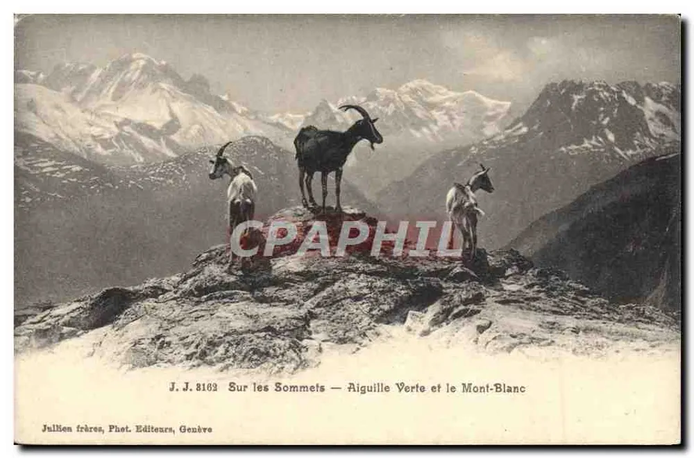 Auf den Gipfeln — Aiguille Verte und Mont Blanc — Jullien frères, Phot. Editeurs, Genève - Vorderseite