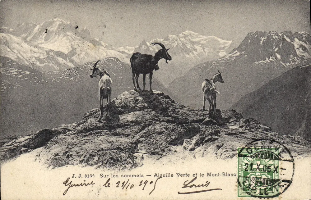 Auf den Gipfeln — Aiguille Verte und Mont-Blanc — J.J. 8162 - Vorderseite