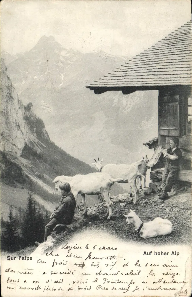 Scène alpine — chalet et chèvres près d'un enfant — éditeur anonyme, n° de série C.P.N.2321 - Frente