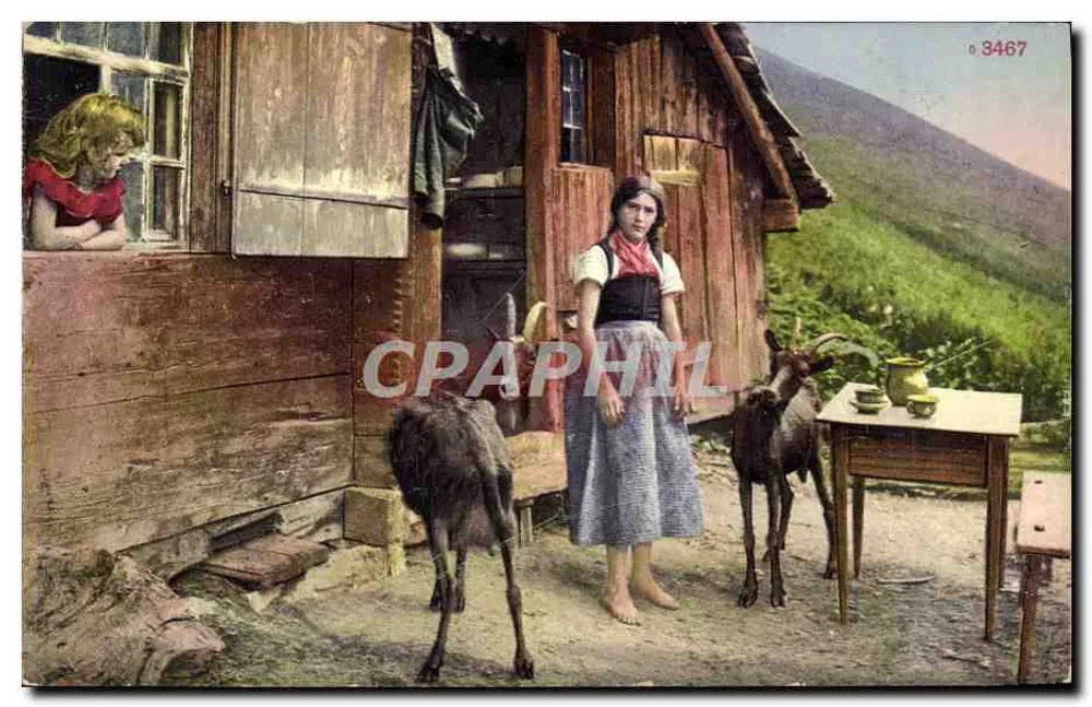 Mulheres e cabras diante de uma cabana de madeira — Edição Photoglob, Zürich, n° 3467 - Frente