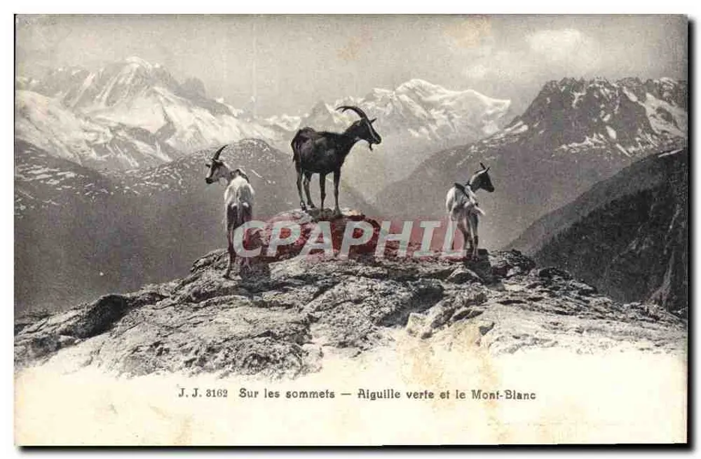Auf den Gipfeln — Aiguille verte und der Mont-Blanc — J.J. 8162 - Vorderseite