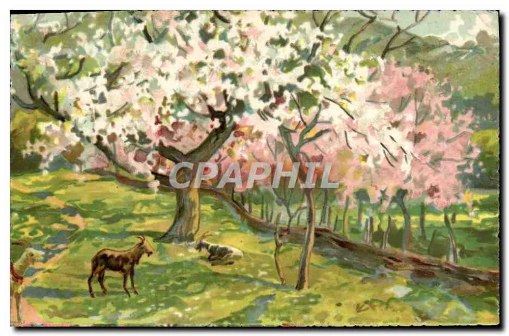 Cena de primavera com cabras — sob árvores em flor — editor desconhecido, n° 204 - Frente