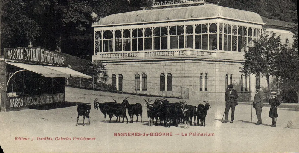 Bagnères-de-Bigorre — O Palmarium — Maison Cantalou confiseur Toulouse - Frente