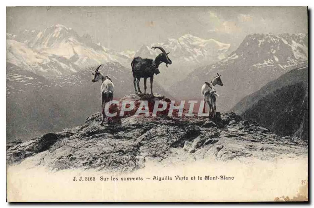 Auf den Gipfeln — Aiguille Verte und der Mont-Blanc — Jullien frères, Genève, n° 3162 - Vorderseite