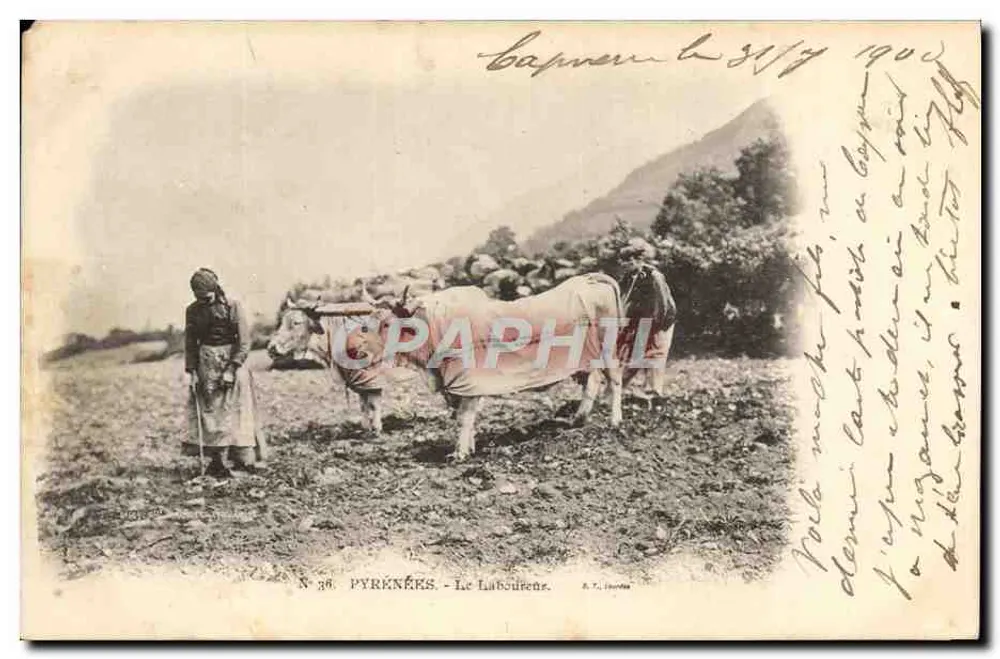Le Labourene — Pirineus — A. T. Lourda, N° 38 - Frente