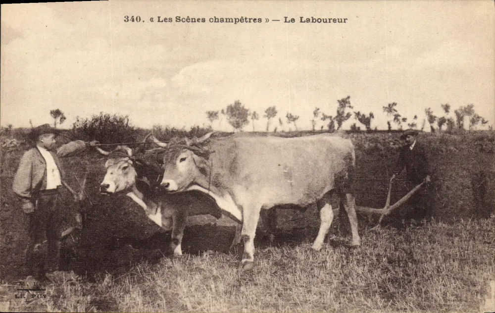 O Agricultor — As Cenas Campestres — LE PUY - Frente